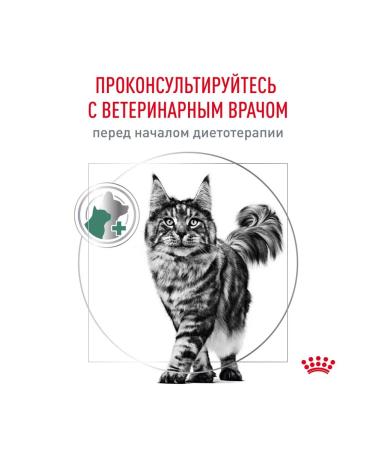ROYAL CANIN Dry food Satiety Weight Management for cats 0.35 kg 4 pcs - Buy Online on GoSupps.com