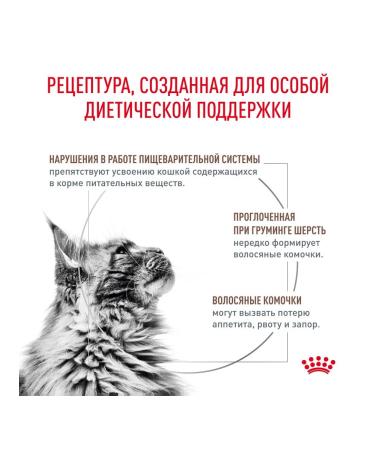 ROYAL CANIN Dry gastrointestinal hairball food for cats 0.35 kg 4 pcs - Buy Online on GoSupps.com