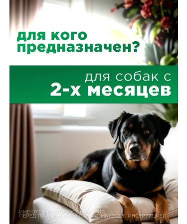 KRKA Fiprist Spot He is 2-10 kg for dogs 3 peep - Buy Online on GoSupps.com