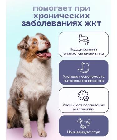SPACEBAK Dog feed is hypoallergenic with turkey and a probiotic of 2 kg - Buy Online on GoSupps.com