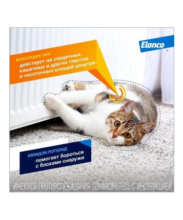 Bayer Lawyer Antiparasitic drug for cats 4-8kg 3P*0.8ml - Buy Online on GoSupps.com