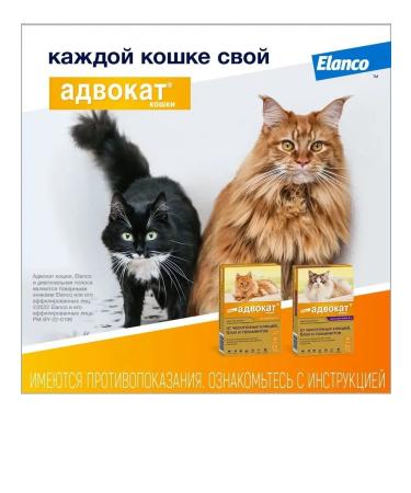 Bayer Lawyer Antiparasitic drug for cats 4-8kg 3P*0.8ml - Buy Online on GoSupps.com