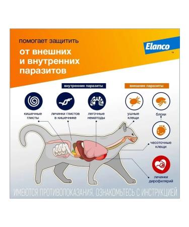 Bayer Lawyer Antiparasitic drug for cats 4-8kg 3P*0.8ml - Buy Online on GoSupps.com