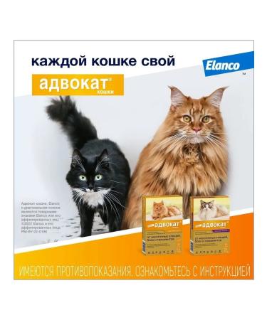 Bayer Lawyer Antiparasitic drug for cats up to 4 kg 3p*0.4ml - Buy Online on GoSupps.com