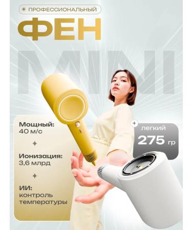 Mini hair dryer professional road
