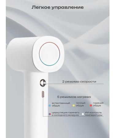 Mini hair dryer professional road - Buy Online on GoSupps.com