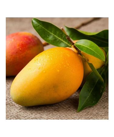 H&N ECO Dried natural mango without sugar 500 grams - Buy Online on GoSupps.com