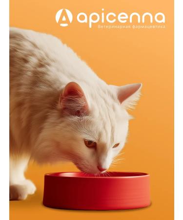 Apicenna Stop cystitis of bio for cats for the urinary system 30ml - Buy Online on GoSupps.com