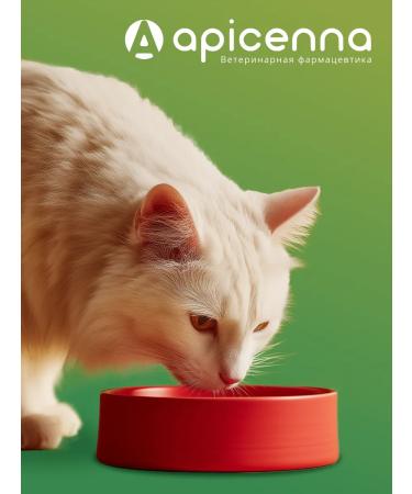 Apicenna Stop cystitis plus for cats for the urinary system 30t - Buy Online on GoSupps.com
