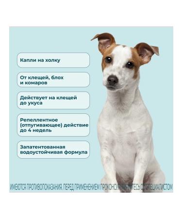 KRKA Attles drops on the withers for dogs 4-10 kg No. 1 (1ml) - Buy Online on GoSupps.com