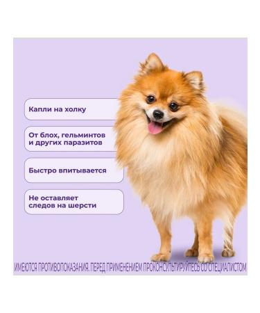 KRKA Selafore Drops for dogs 2.6 - 5 kg 1 x 30 mg 0.25ml - Buy Online on GoSupps.com