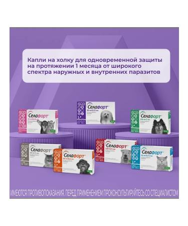 KRKA Selafore Drops for dogs 2.6 - 5 kg 1 x 30 mg 0.25ml - Buy Online on GoSupps.com