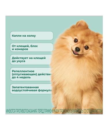 KRKA Attles of dog drops  - Buy Online on GoSupps.com