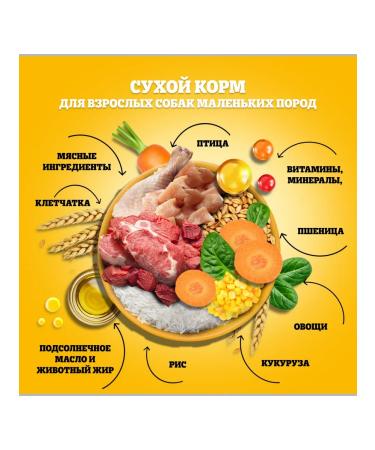 PEDIGREE Dry food for dogs of small breeds with beef 3pcs of 500 g - Buy Online on GoSupps.com