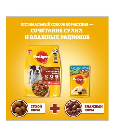 PEDIGREE Dry food for dogs of small breeds with beef 3pcs of 500 g - Buy Online on GoSupps.com
