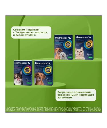 KRKA Anthelmintic for dogs Milprazon No. 2 12.5 mg - Buy Online on GoSupps.com