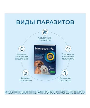 KRKA Antigelmintic for dogs and puppies Milprazon No. 2 2.5mg - Buy Online on GoSupps.com