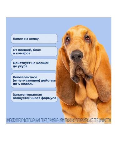 KRKA Attles solution for dogs of more than 25 kg. No. 1 (4 ml.) - Buy Online on GoSupps.com