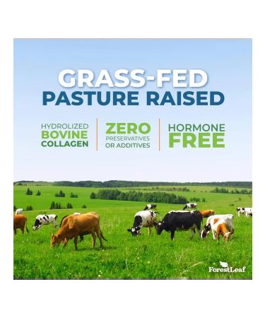 Collagen hair powder of joints of the joints - Buy Online on GoSupps.com