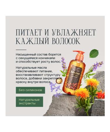 Reveur For color shampoo for dyed hair 500 ml - Buy Online on GoSupps.com