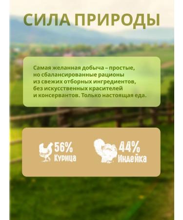 Rawival Dry food for dogs of small breeds 7.5 kg - Buy Online on GoSupps.com