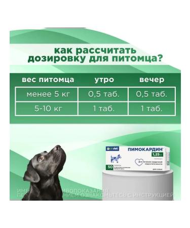 AVZ Pimocardin with heart failure 1.25 mg 50 tab - Buy Online on GoSupps.com