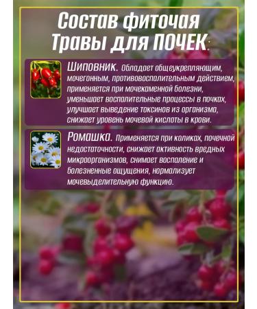 Teas of the Caucasus Herbs for kidneys No. 13 phytochai 2 packages - Buy Online on GoSupps.com