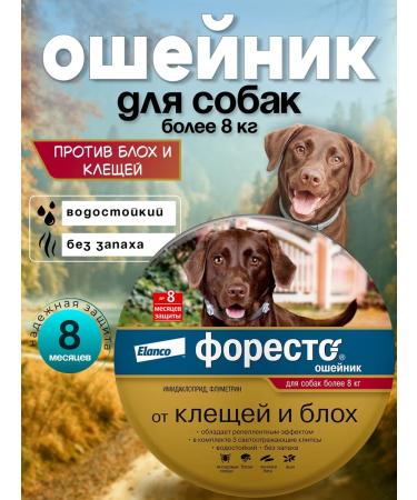 Elanco Forest collar from fleas and ticks for dogs more than 8 kg - Buy Online on GoSupps.com