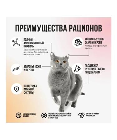 BOWL WOW Mini -set of dry feed for the gastrointestinal tract - 100 g x 4 pcs - Buy Online on GoSupps.com