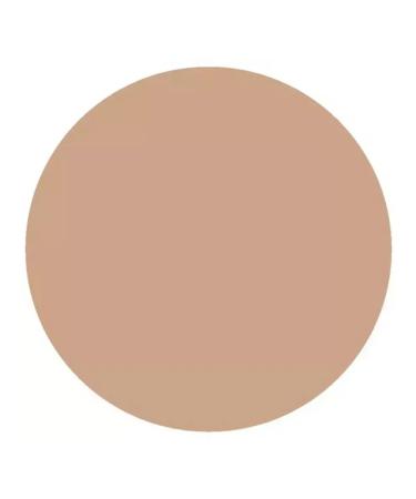 Face powder Compact Powder Green Tea Tone 04 - Buy Online on GoSupps.com