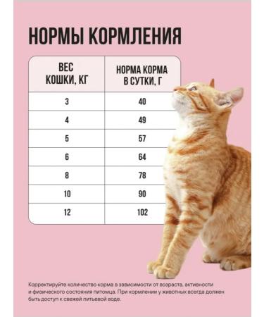 BOWL WOW Adult cat food turkey chicken apple 8kg - Buy Online on GoSupps.com