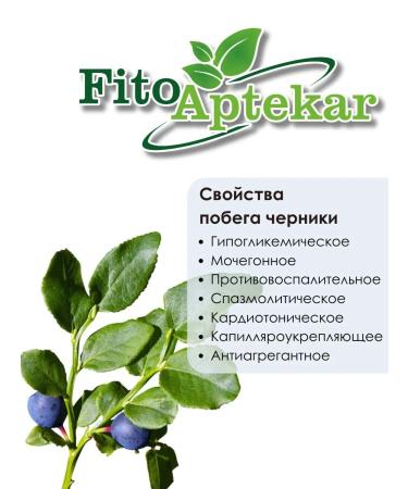 PHYTOAPTHECARIAN Blueberry Escape 500 gr - Buy Online on GoSupps.com