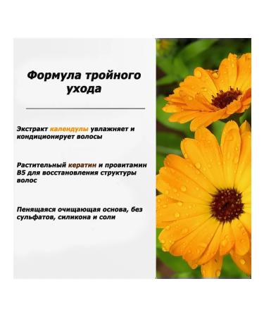 Natur Vital Salosulfant shampoo for damaged hair 300ml - Buy Online on GoSupps.com