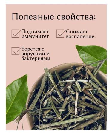 Echinacea Grass dried 100 g drevomed - Buy Online on GoSupps.com