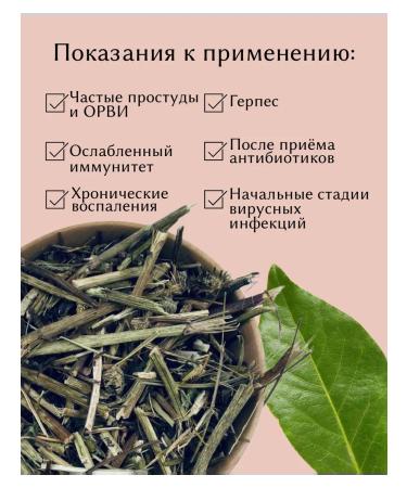 Echinacea Grass dried 100 g drevomed - Buy Online on GoSupps.com