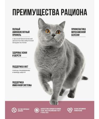 BOWL WOW Feed for sterilized turkey chicken beets 4kg - Buy Online on GoSupps.com