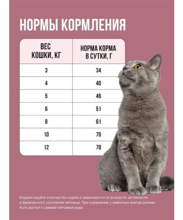 BOWL WOW Feed for sterilized turkey chicken beets 8kg - Buy Online on GoSupps.com