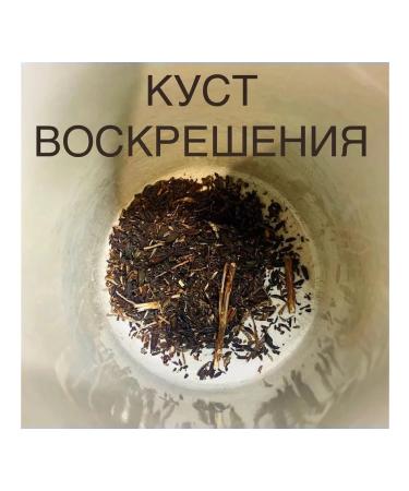 Africa Natural African herbal collection of the Mirotamnus resurrected bush 1 kg - Buy Online on GoSupps.com