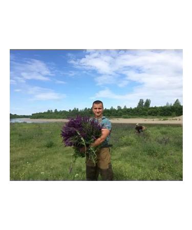 Danila Travnik Herbal collection Healthy liver from a tribe dange 150g - Buy Online on GoSupps.com