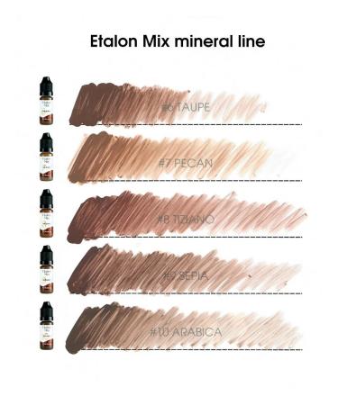 Etalon mix Eyebrow pigments standard mix Mineral - Buy Online on GoSupps.com