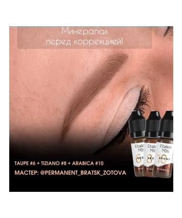 Etalon mix Eyebrow pigments standard mix Mineral - Buy Online on GoSupps.com