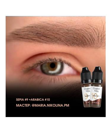 Etalon mix Eyebrow pigments standard mix Mineral - Buy Online on GoSupps.com