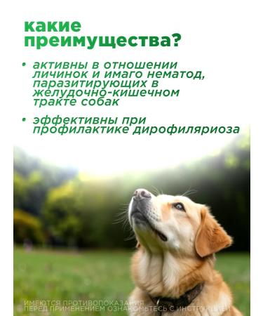 Pinopramil tablets from worms for small dogs - Buy Online on GoSupps.com