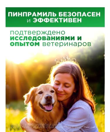 Pinopramil tablets from worms for small dogs - Buy Online on GoSupps.com