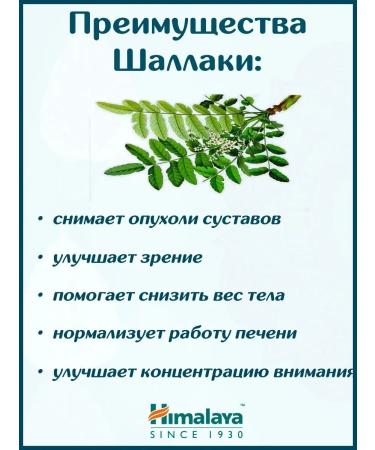 India Bady Shallaki health of the musculoskeletal system 60 tab - Buy Online on GoSupps.com