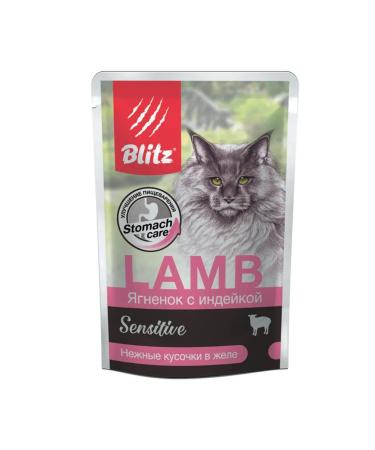 Set of spider for cats with assorted tastes - 85 g x 5+1 pcs - Buy Online on GoSupps.com