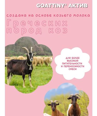 GOATTINY Mixture of low -lactose asset on goat milk 700 g - Buy Online on GoSupps.com