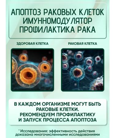 Delina Lab Kurkumin Extract Piperin Boswellia 7 herbs for gastrointestinal tract - Buy Online on GoSupps.com