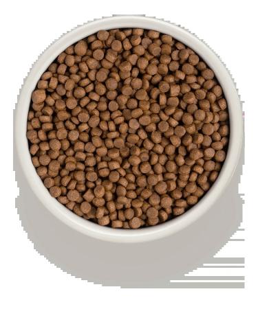 Grandorf Dry food for cats 4 types of meat 2kg - Buy Online on GoSupps.com