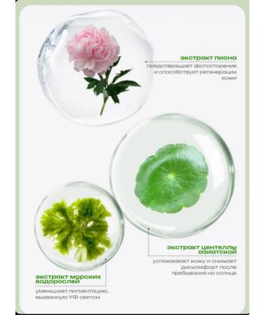 Cushions Tonal cream-kushon Korea Gift set - Buy Online on GoSupps.com
